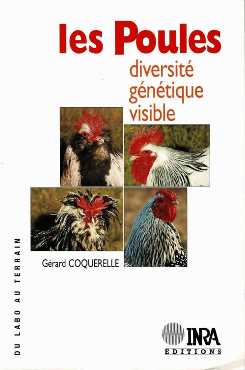 Les poules